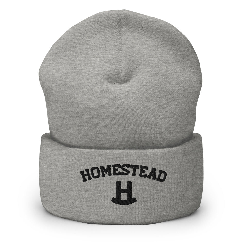 Homestead Arc Beanie