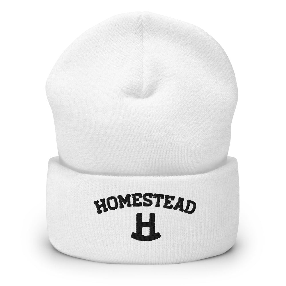 Homestead Arc Beanie