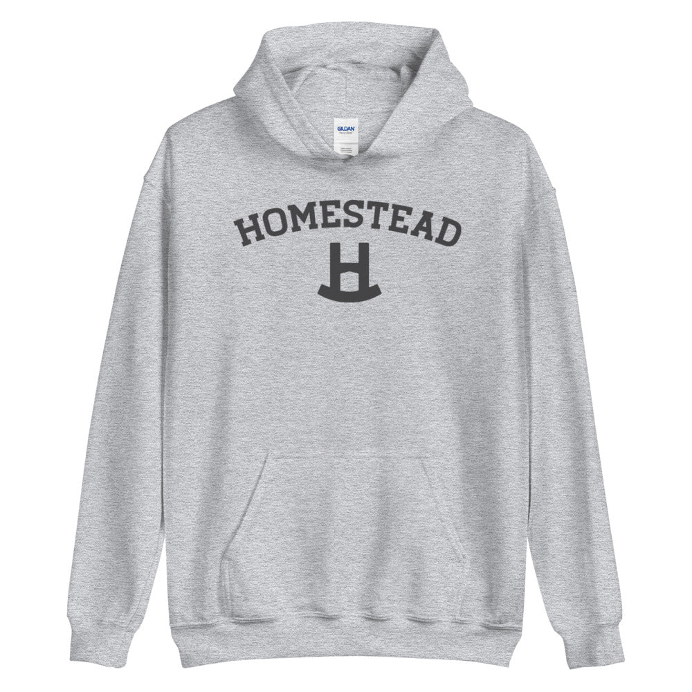 Homestead Arc Hoodie